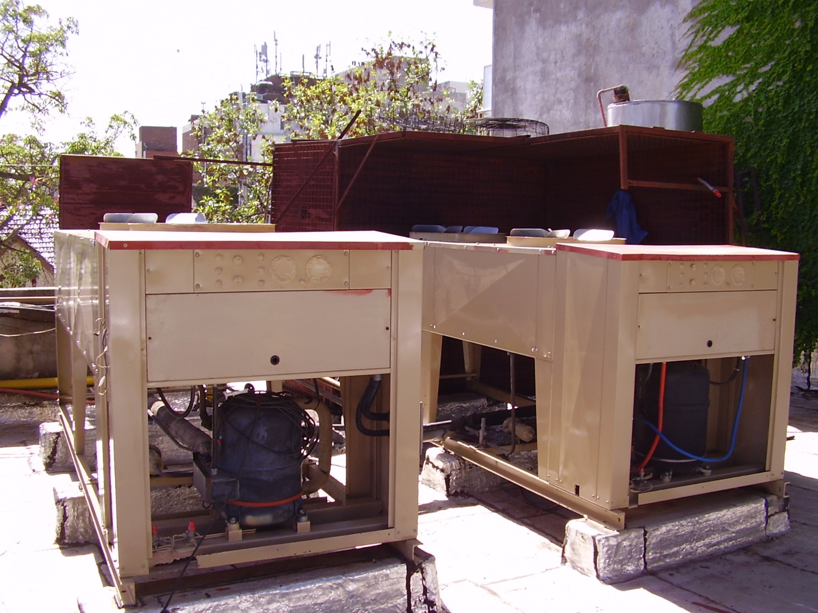 WhatsApp Image 2024-11-29 at 09.49.47 (4)